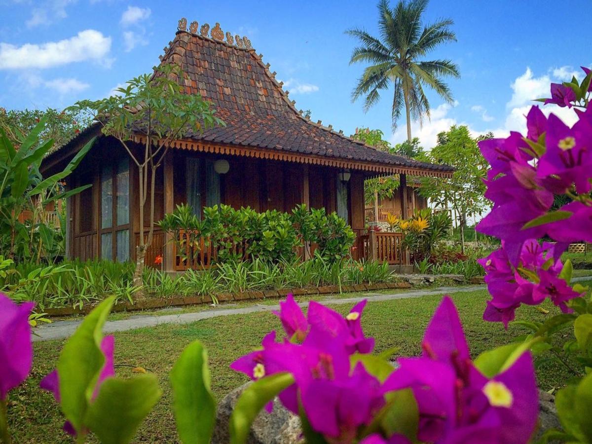 Deluxe Bungalow,395413848:JPEG